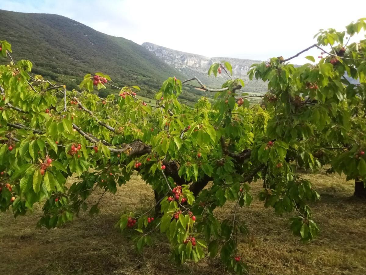 Apartmán Casa Rural Ibarbegi II Vidaurreta Exteriér fotografie